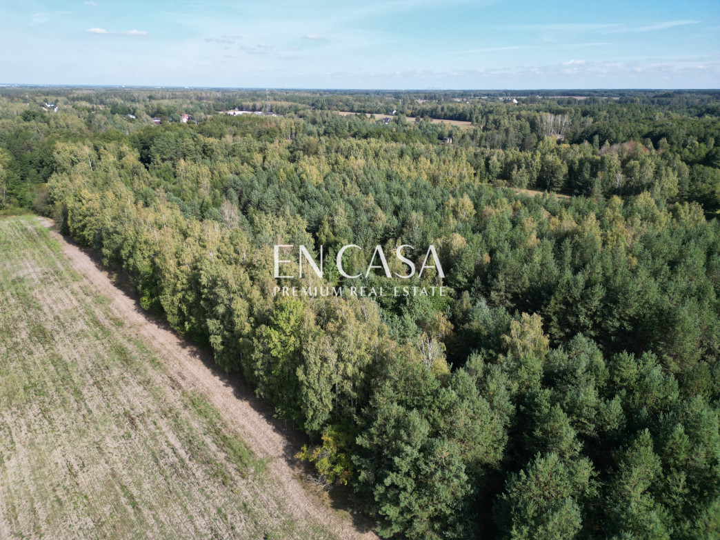 Plot Sale Kuklówka Radziejowicka Zalana Łąka 12